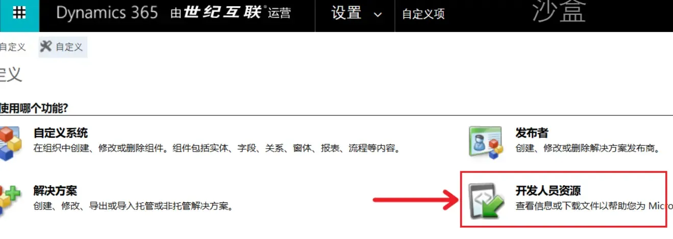 选择自定义项