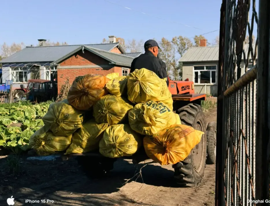 爷驾着满载苞米的车2