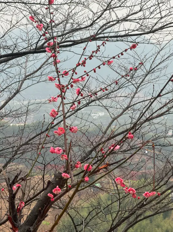 缓慢爬山2