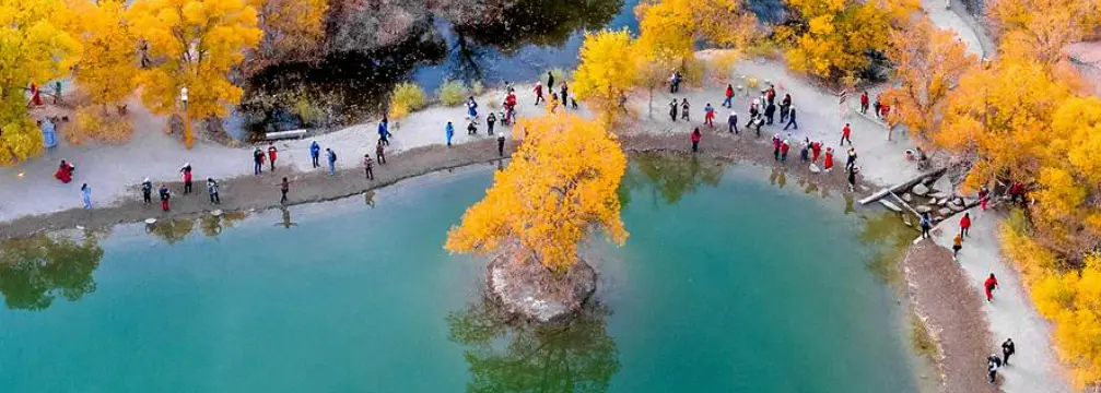 Generated using [OG Image Playground by Vercel](https://og-playground.vercel.app/)